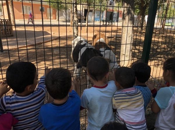 4 EKİM HAYVANLARI KORUMA GÜNÜNDE HAYVAN DOSTLARIMIZLA BİRLİKTEYDİK